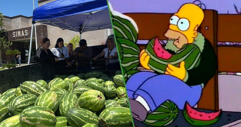 Biónicos acuáticos: municipio de Tamaulipas regala sandías a personas que paguen su recibo de agua