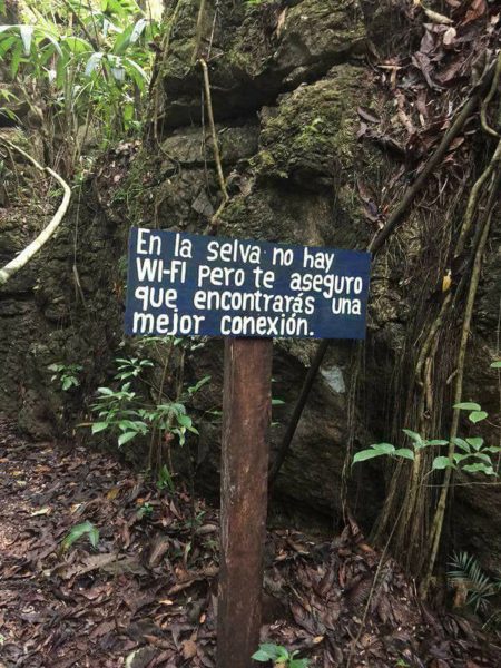 ¿Cenotes en Oaxaca Descubre este secreto