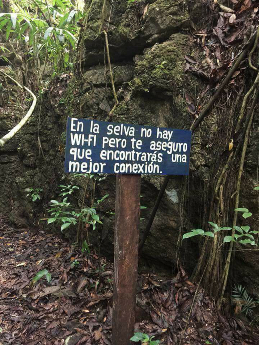 ¿Cenotes en Oaxaca Descubre este secreto
