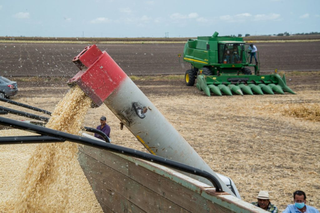Cofepris mantiene 210 plaguicidas altamente peligrosos autorizados: RAPAM