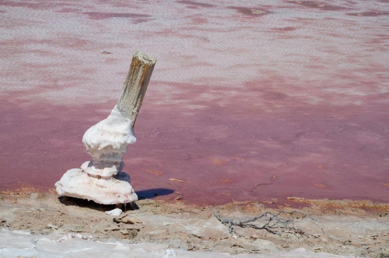 ¿Conoces la playa rosa de Baja California Sur?