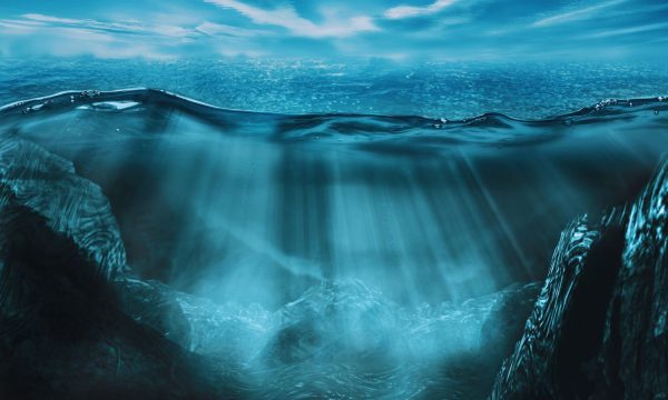 El océano se sofoca