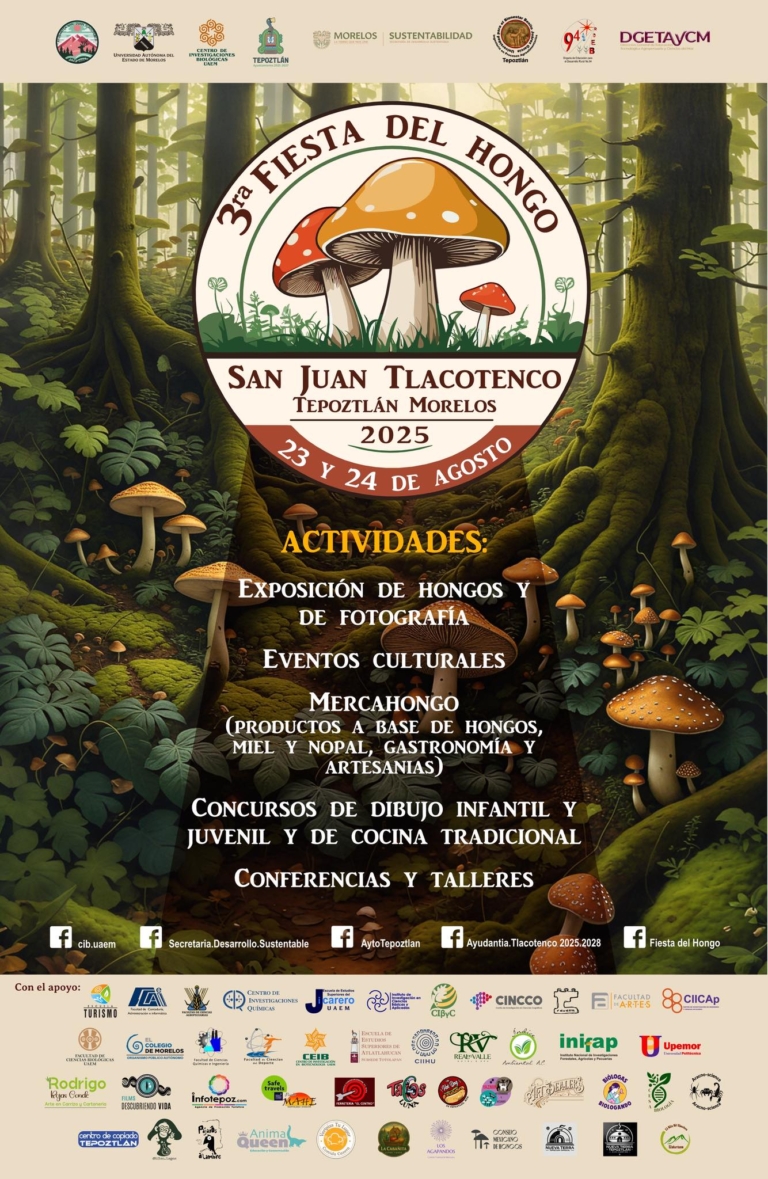 Festival de Hongos 2025, celebra hongosto en Tepoztlán, Morelos