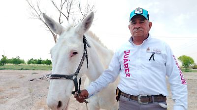 “Hemos negado el amparo”: FGR espera la detención de Julio César “N” en cuanto llegue a México