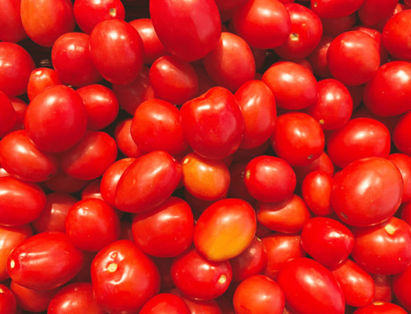 “Irremplazable” || México responde al arancel estadounidense del 17% sobre el jitomate