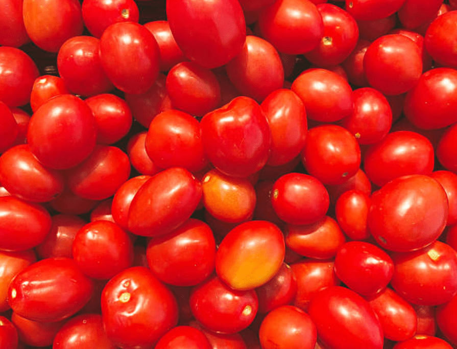 “Irremplazable” || México responde al arancel estadounidense del 17% sobre el jitomate