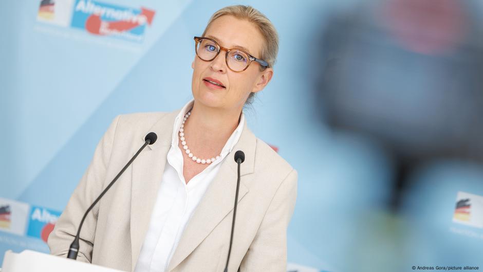 La AfD se dice perseguida como en la época nazi