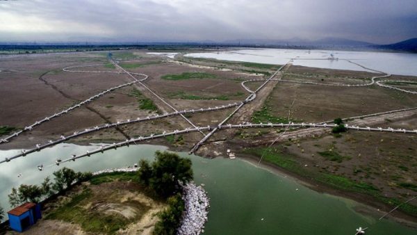 La defensa del lago trae vida nueva a Texcoco