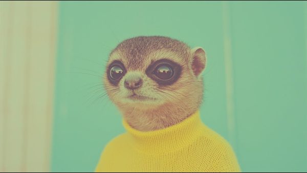 La paradoja del creador: por qué esta película premiada hecha con IA podría redefinir el arte sin destruirlo