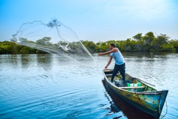 Laguna de Tamiahua, el mejor lugar en la Huasteca veracruzana para viajeros aventureros