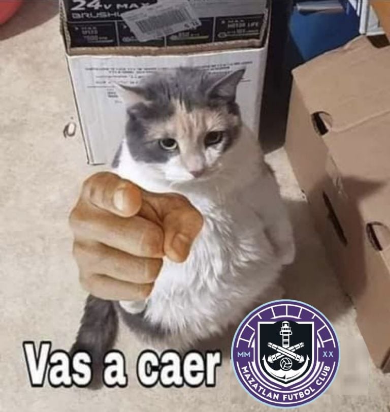Los mejores MEMES del empate de Cruz Azul vs Mazatlán