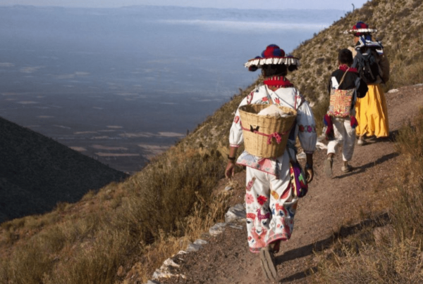 México celebra la Ruta Sagrada Wixárika Patrimonio Vivo de la Humanidad por la UNESCO (+videos)