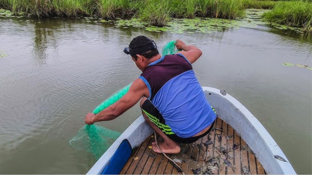 Pesca con atarraya, arte que alimenta pueblos costeros de México