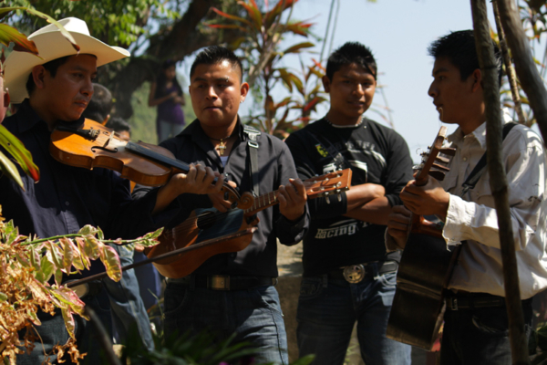 Sones de costumbre: la antigua y sagrada voz de la tierra entre los nahuas