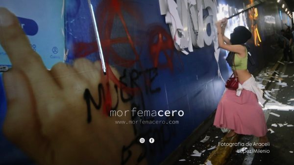 Vacas, exposiciones, destrozos