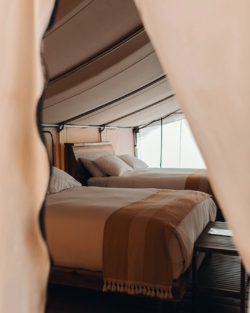 ‘Wine glamping’ en México, qué es y dónde vivir la experiencia