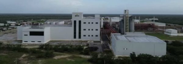 Yucatán: el Anillo de Cenotes ante la crisis hídrica y el avance industrial