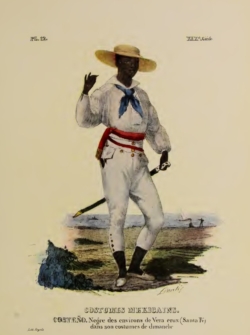 Afrodescendientes en la Guerra de Independencia de México, papel e historia