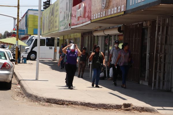 AMMJE Cajeme impulsa el crecimiento de más de 70 emprendedoras locales