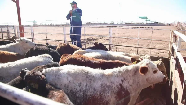 Analizan cierre de cuarentenaria de Nogales por altos costos de operación