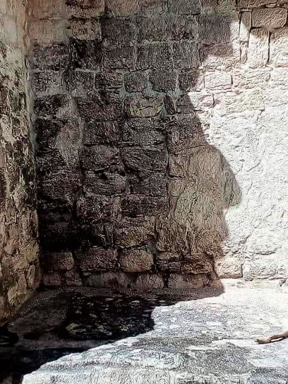 Chicanná: la casa de la boca de la serpiente