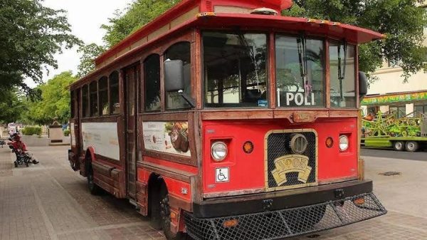 Dedicarán próximo Víactiva a la convivencia con caninos