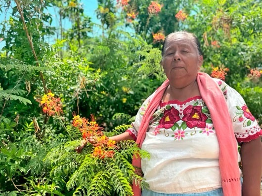 Doña Panchita encabezará el primer consultorio tradicional indígena avalado por Cofepris