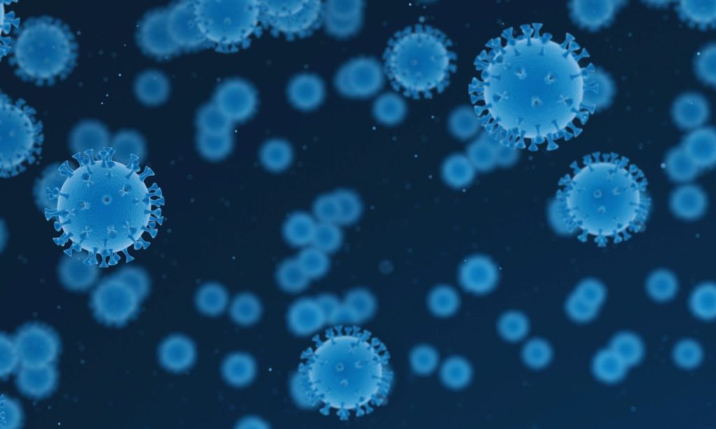 El arca de los microbios: un biobanco mundial para proteger la salud del planeta