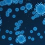 El arca de los microbios: un biobanco mundial para proteger la salud del planeta