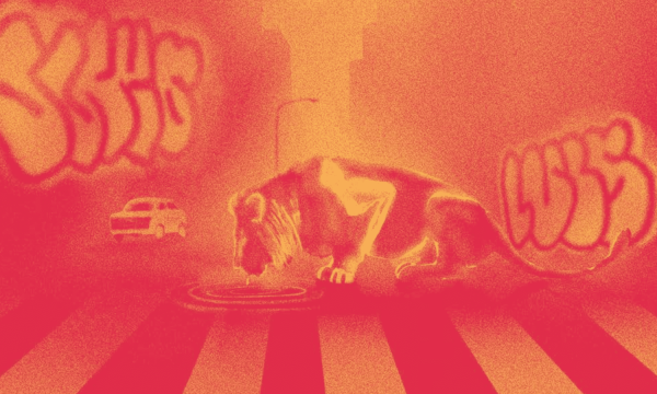 El desplazamiento geográfico de las especies 