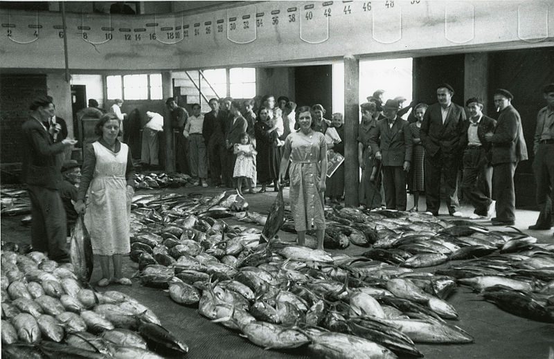 El valor del potencial femenino en la economía azul