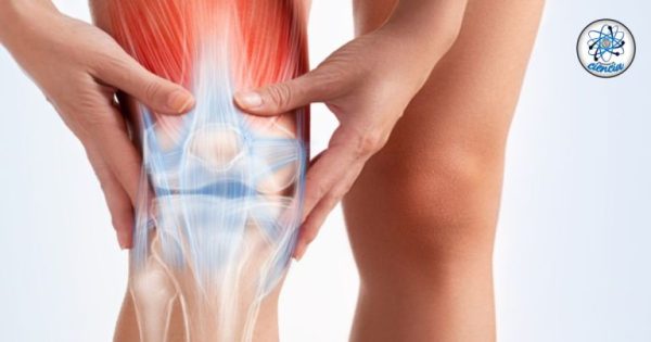 Hito médico: identifican una nueva molécula que podría mejorar el diagnóstico y tratamiento de la artritis reumatoide