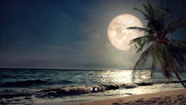 Instantáneas en la playa