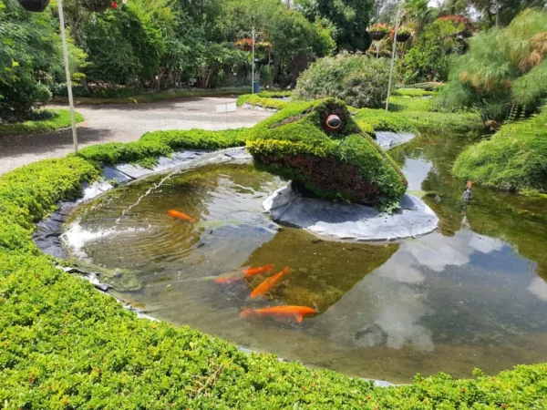 Jardín Mágico de Atlixco, el cielo para los amantes de las plantas