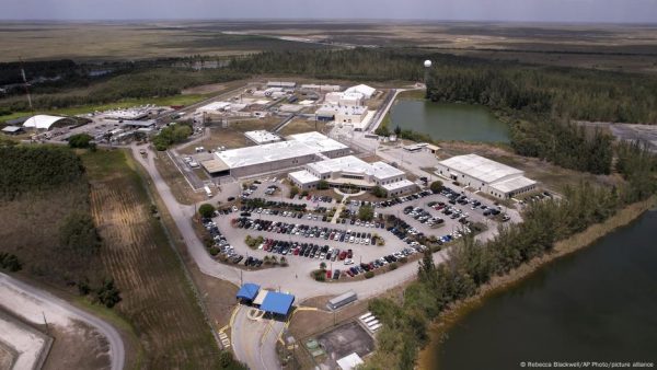 Jueza ordena desmantelar "Alligator Alcatra" dentro de 60 días