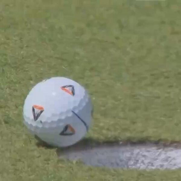 La mosca que ayudó a un golfista con un birdie de miles de dólares