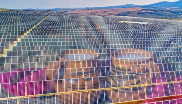 Los paneles solares que amenazan a los magueyes en Hidalgo