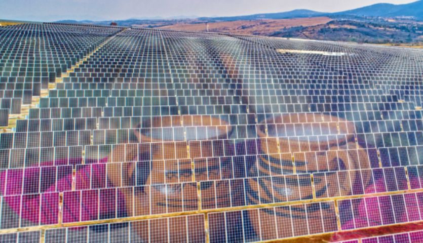 Los paneles solares que amenazan a los magueyes en Hidalgo