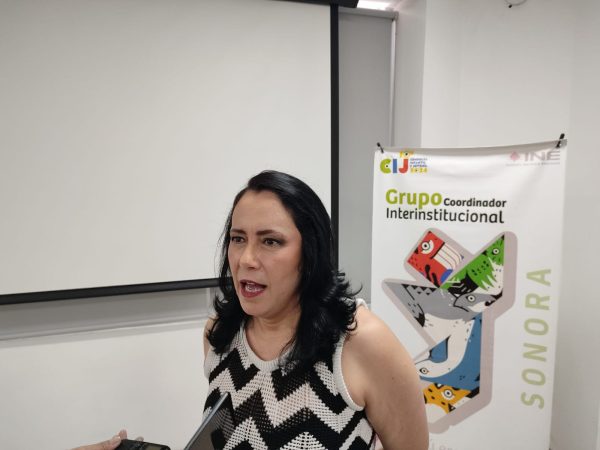 No hay postura oficial del INE sobre la Reforma Electoral: Verónica Sandoval