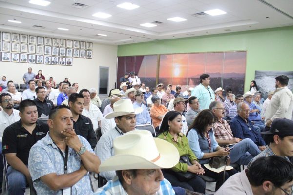Sader destina más de 938 millones de pesos al campo en el sur de Sonora