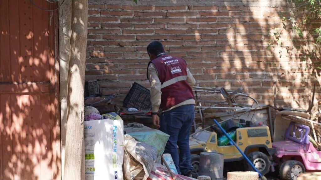 Advierten repunte de dengue en Sonora tras el paso de ‘Lorena’