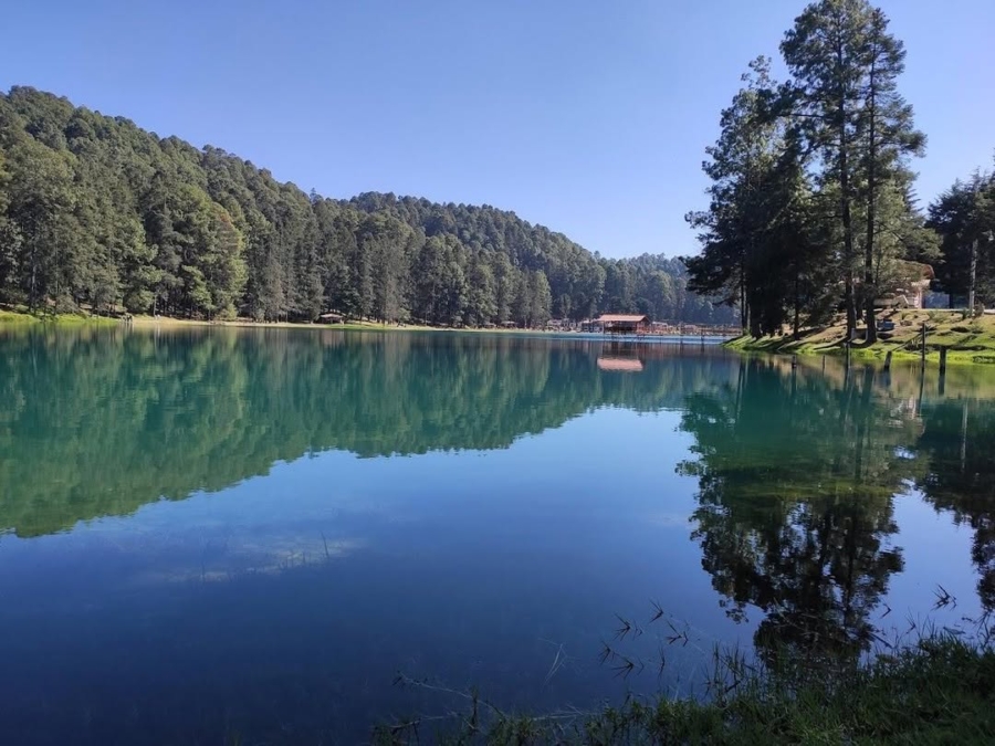 Conoce Laguna Larga, el santuario termal y boscoso de Los Azufres en Michoacán