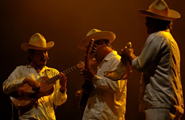 Cuando el son jarocho estuvo a punto de desaparecer