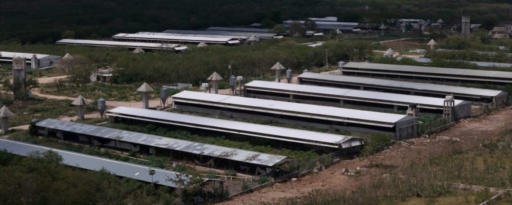 Entre los bares de Cuba, se asoma el cártel inmobiliario