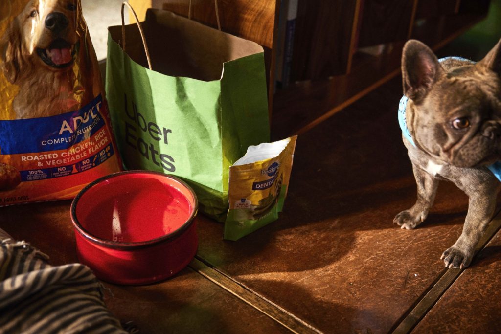 Ésta es la manera más sencilla de trasladarte en tu próxima visita a Los Cabos