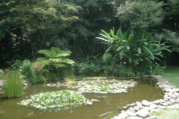 Jardín Botánico Francisco Javier Clavijero, un remanso de paz en Xalapa