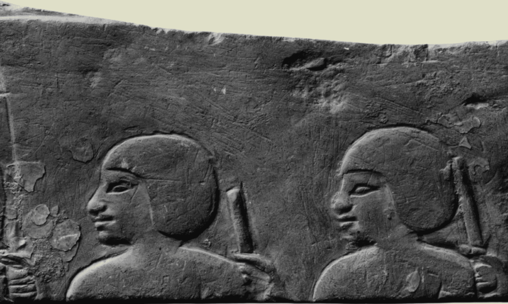 Los inmigrantes no han venido a hacerte el trabajo sucio