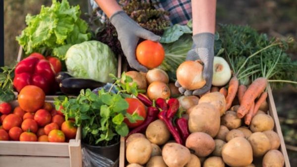 Miércoles de Plaza de La Comer y Fresko: ofertas frutas y verduras este 3 de septiembre