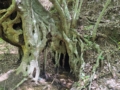 Minas de San Sebastián del Oeste, montañas que guardan tesoros ocultos