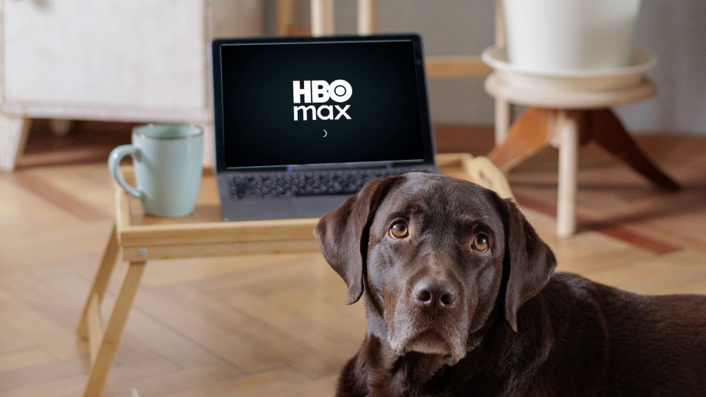 Sindicato de Perrhijos da día de asueto para poder ver Superman en la casa con sus dueños